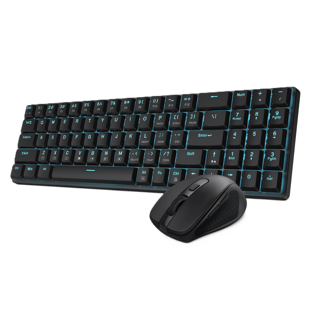 Office Combo Edition