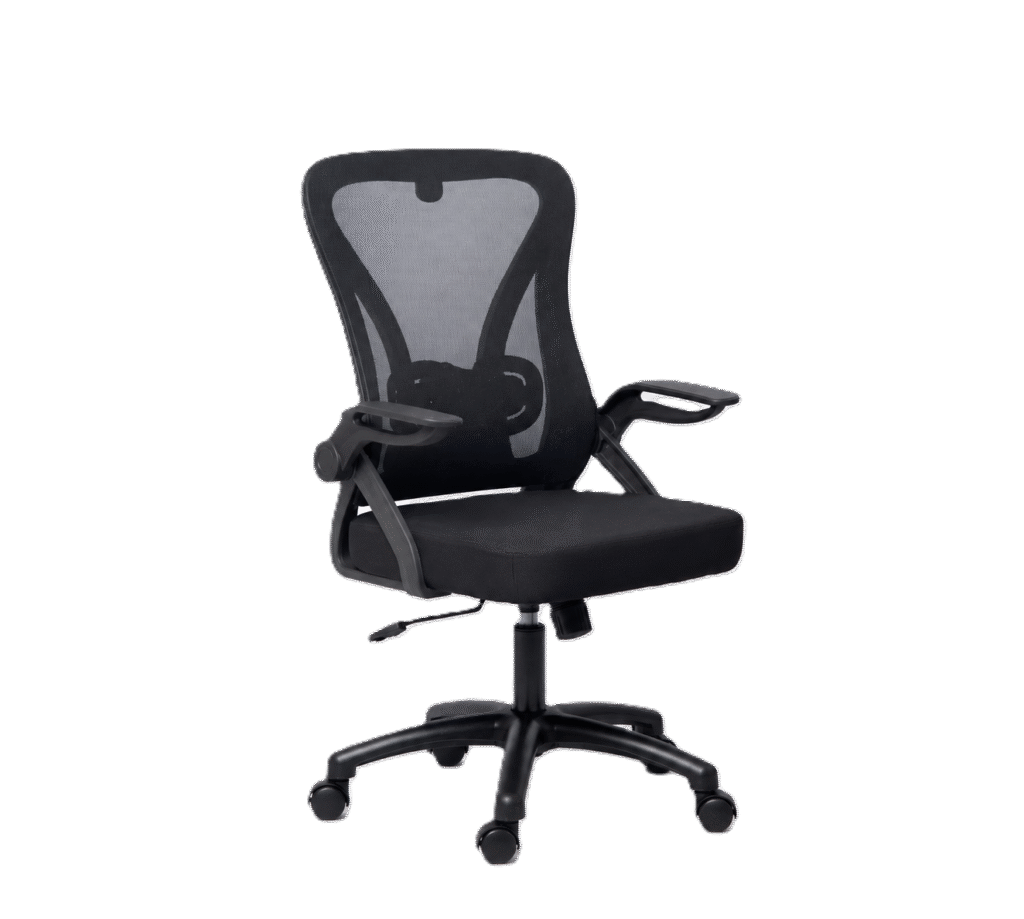 Ergonomic Chair